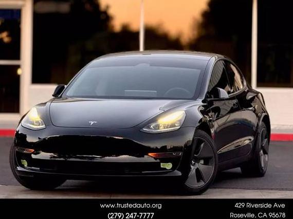 TESLA MODEL 3 2023 5YJ3E1EA2PF593846 image